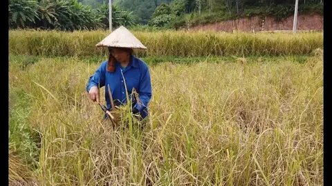 Cách Khởi Nghiệp Kiếm Tiền Bán Thời Gian Dành Cho Người Mới